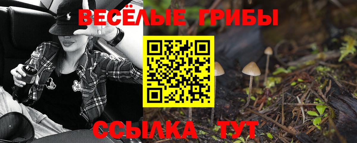 Нефтекамск  Псилоцибиновые грибы Psilocybine cubensis  Вход с VPN 