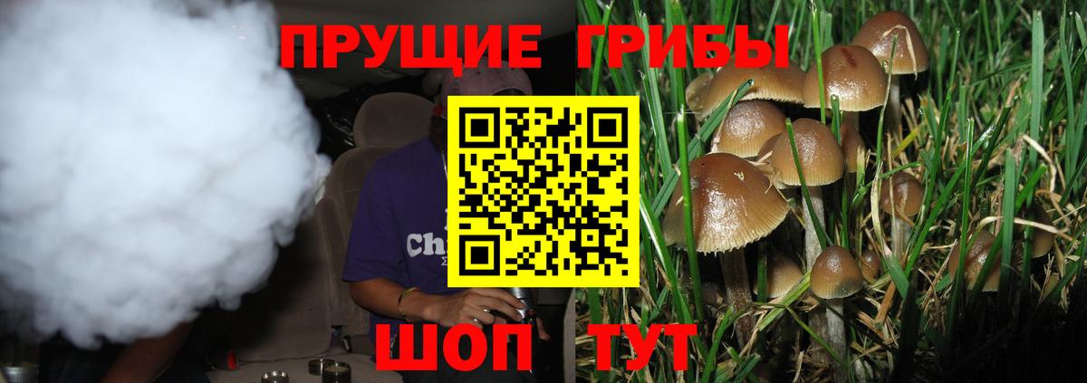 Галлюциногенные грибы Psilocybe Нефтекамск